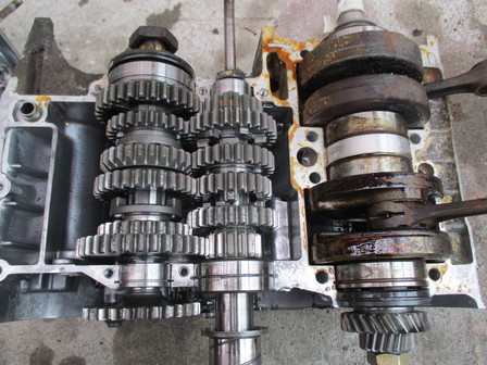 sute 015.JPG