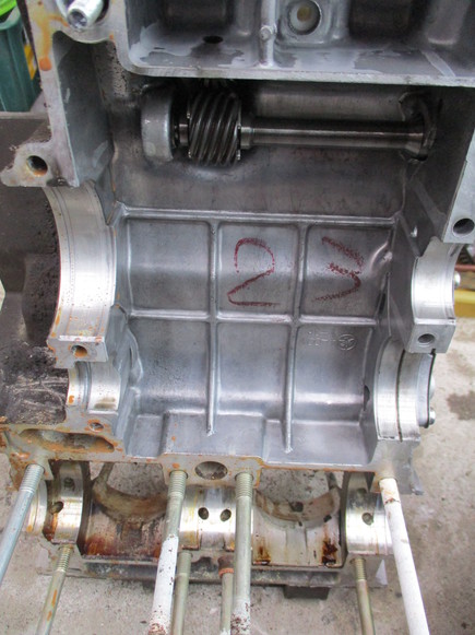 sute 016.JPG