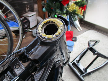 小岩井とrz250 014.JPG