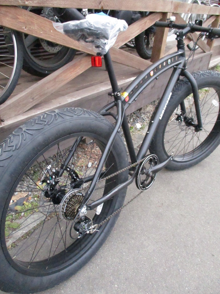 rz-jitenn 030.JPG